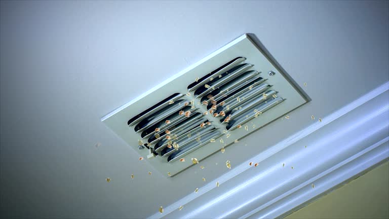 Best Affordable HVAC Duct Cleaning  in Karnes City, TX